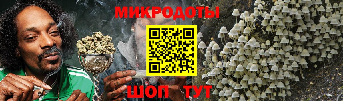 Карачаевск  Псилоцибиновые грибы GOLDEN TEACHER  сколько стоит  Вход с VPN 